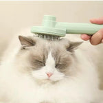 Dual-Action Pet Hair Remover Brush for Cats and Dogs