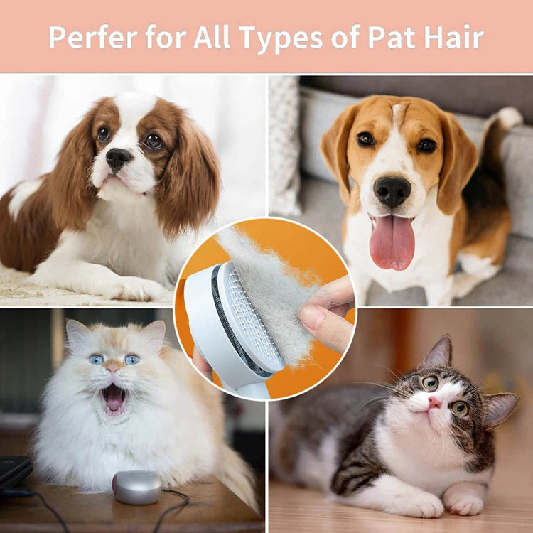 Dual-Action Pet Hair Remover Brush for Cats and Dogs